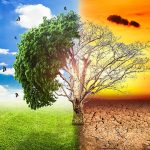 global-warming-climate-change-tree_1big_stock2.jpg