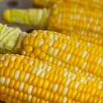 sweet-corn.png